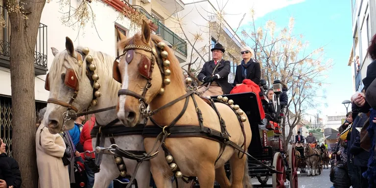 Miquel Vivancos posa en dubte la continuïtat de la festa de Sant Antoni Abat