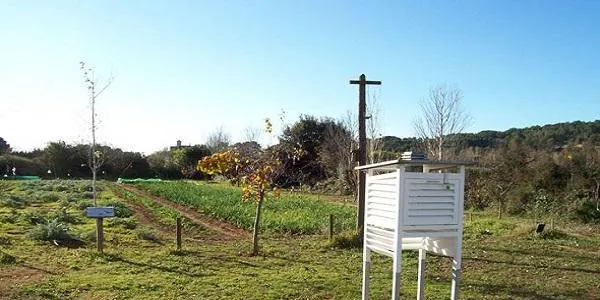 La pluja caiguda a Altafulla en l'últim mes triplica la que va caure durant octubre i novembre de l'any passat