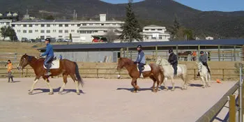 L'Escola Agrària del Pirineu ofereix un curs d'higiene i cura de cavalls
