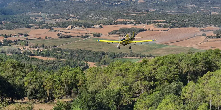 Un 26% del tractament biològic aeri per la processionària del pi a Catalunya s'aplica al Solsonès