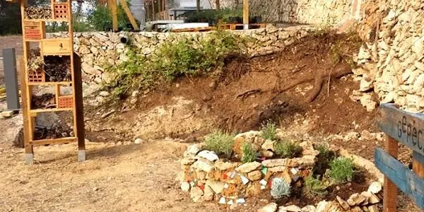 El Gepec impulsa una campanya informativa sobre l’ús dels insectes pol·linitzadors en la millora de la productivitat agrícola