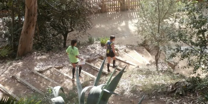 Aquest diumenge arriba la setena edició de la Cursa d’Orientació Sinera O’Free