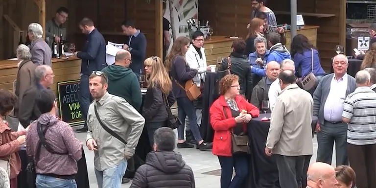 Els millors vins de Catalunya s'instal.laran al Celler el darrer cap de setmana d'octubre