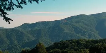 La Generalitat inicia la campanya forestal 2017