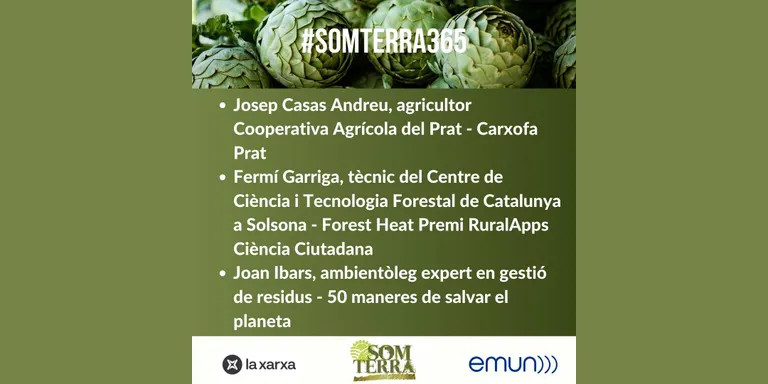 Som Terra 365