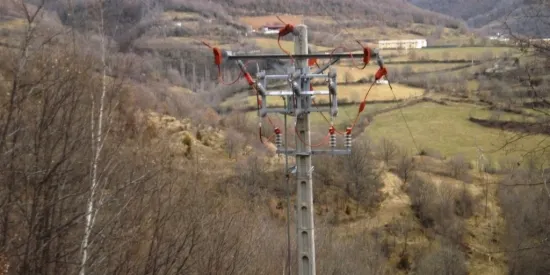 Endesa instal·larà fundes aïllants en una línia d'alta tensió del Pirineu per protegir l'avifauna