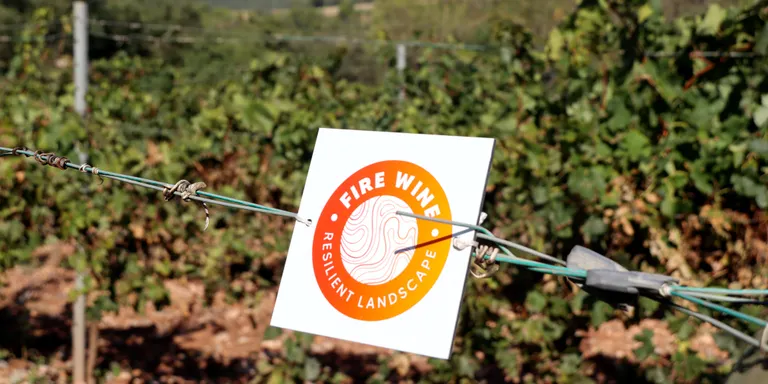 El celler Abadal es converteix en el primer en rebre el distintiu europeu de compromís amb la prevenció d'incendis