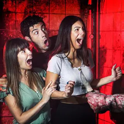 #3221 - Entrevista sobre l'scream parc Horrorland - David Moreno, director i productor del parc - episode art