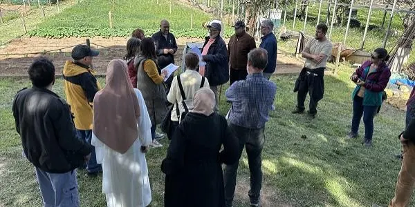 Lliuren una desena d’horts de Cal Dània de Torredembarra perquè les treballin persones grans del municipi