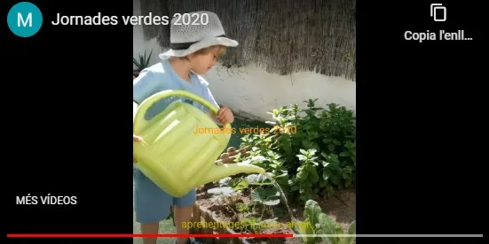 El alumnes del Sobirans han pogut tenir "Jornades verdes" malgrat el confinament