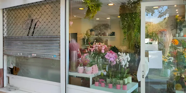 Entren a robar a la Floristeria Flors Frèsia, situada a la Riera