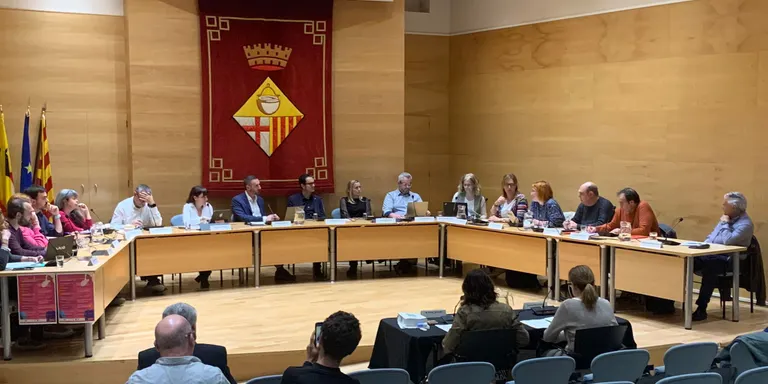 El ple dóna llum verda a 13 punts i dues mocions