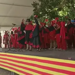 “Versots” de la Colla de Diables Riudefoc a la Festa Major de Sant Pere de Riudebitlles. - episode art
