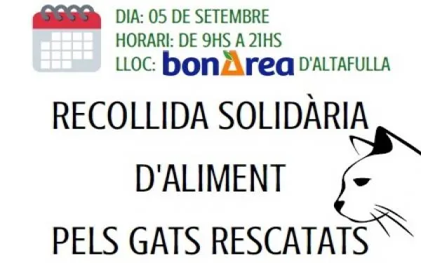 L'Ajuntament d'Altafulla impulsa una recollida de menjar per a gats per col·laborar en l'alimentació de les diferents colònies que hi ha al municipi