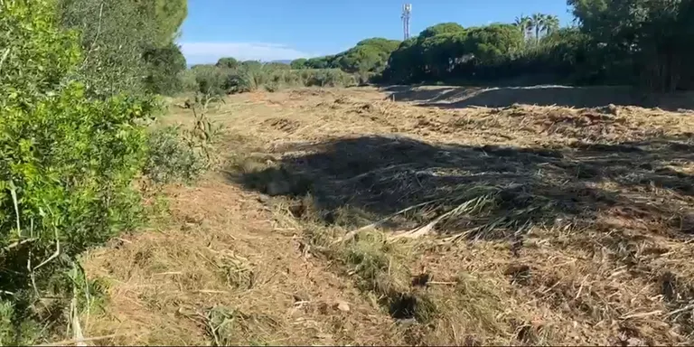 L’Ajuntament de Cambrils ja ha començat a netejar el tram final de la riera de Maspujols