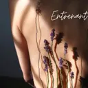 Entrenant la creativitat