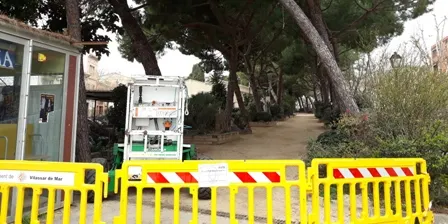 El Passeig dels Pins, tallat per la processionària