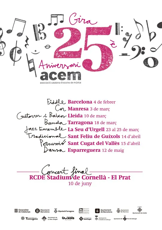 L'Escola Municipal de Música de la Seu participa del Concert del 25è Aniversari de l'ACEM