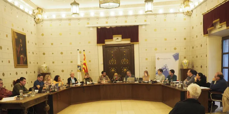Els grups municipals de la Seu d'Urgell avalen l'informe de la Síndica Municipal de Greuges i s'emplacen a tenir-lo en compte