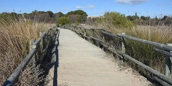 Territori i Sostenibilitat destinarà prop de 30.000 euros a un projecte de millora de l’Espai d’Interès Natural dels Muntanyans
