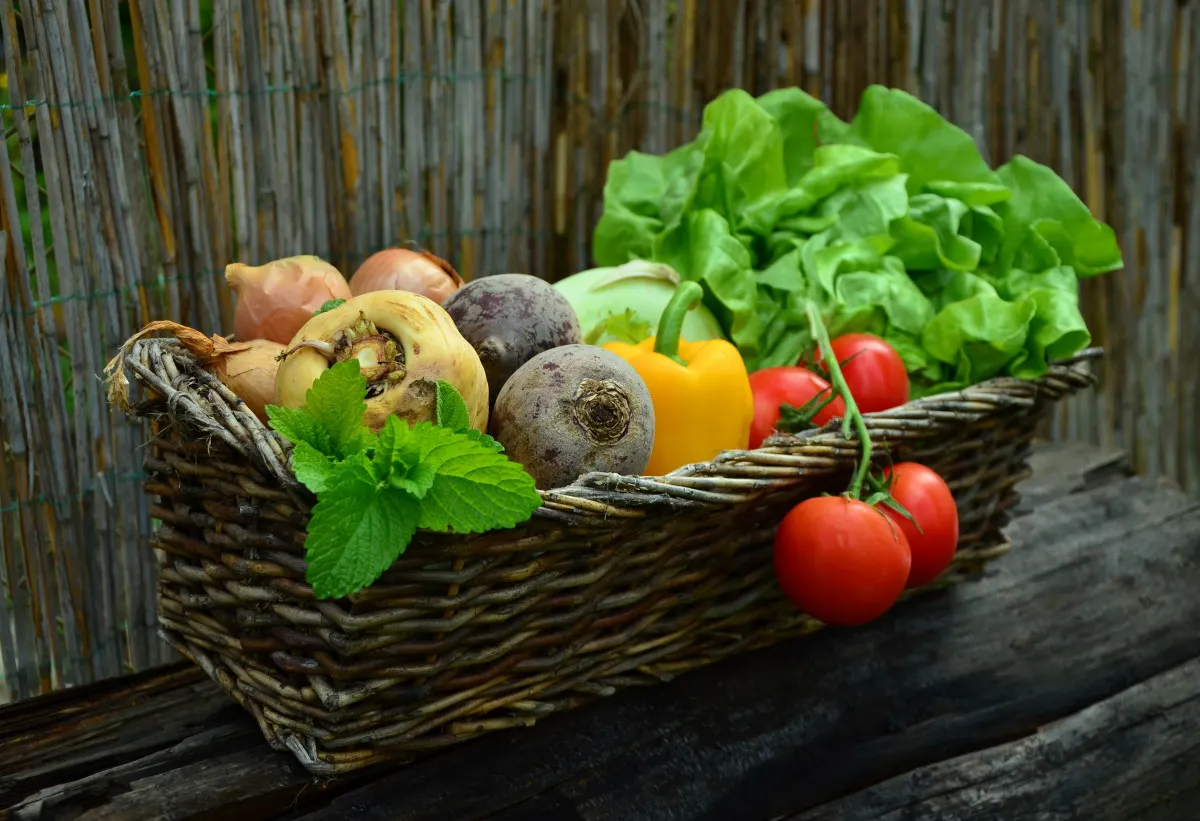 El Centre Sanitari del Solsonès ofereix dimarts un taller sobre hàbits alimentaris en l'àmbit familiar