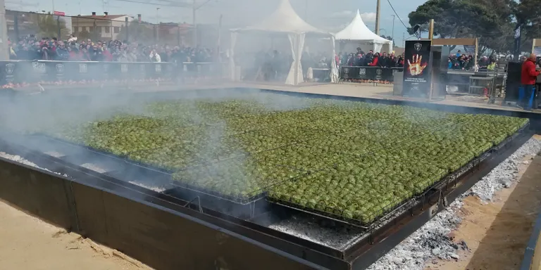 Pineda aconsegueix el Record Guinness en coure més d'una tona de carxofes