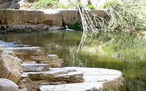 Foto: Terres del Gaià