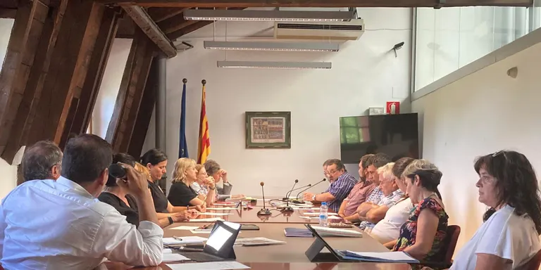 El Consell Comarcal de l'Alt Urgell aprova el nou Contracte Programa amb el Departament de Drets Socials