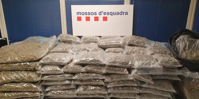Agents de la comissaria dels Mossos d’Esquadra de Caldes intervenen en la detenció d’un veí de Lliçà d’Amunt que distribuïa marihuana a l’engròs
