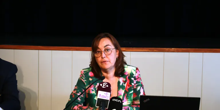Paneque assegura que el Govern serà "contundent i perseguirà" les persones que hagin provocat els incendis d'Aiguamúrcia