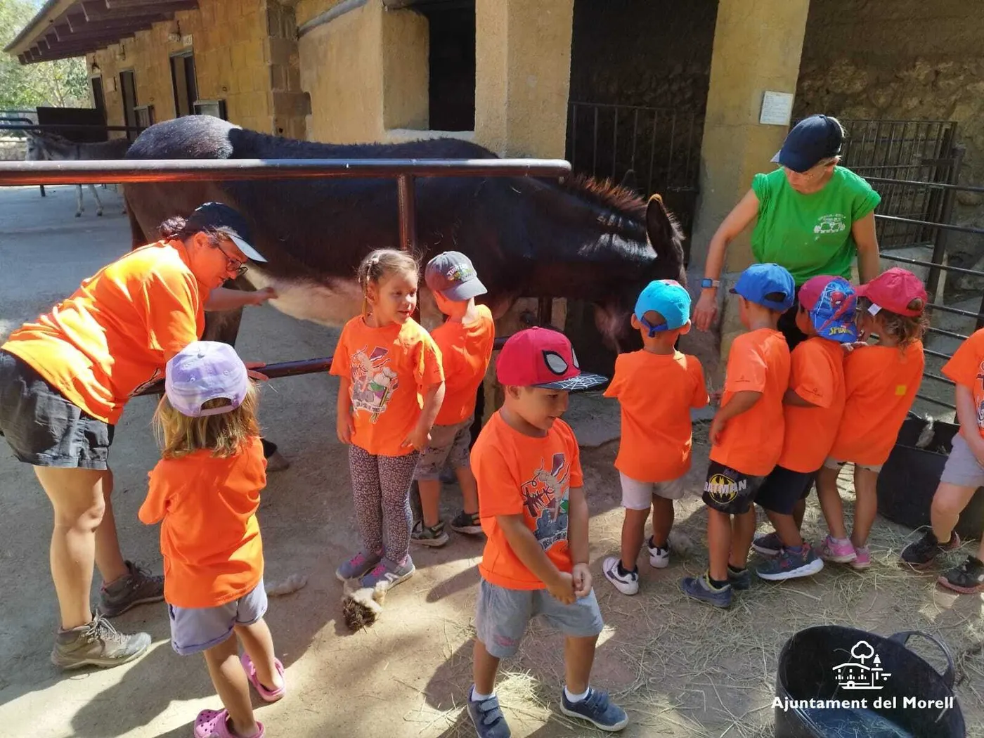 Ariadna Gil s'emporta el primer premi de la 5a beca Xavi Catà