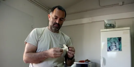 La temporada de bolets comença més tard per la calor intensa i la sequera de principis d'estiu
