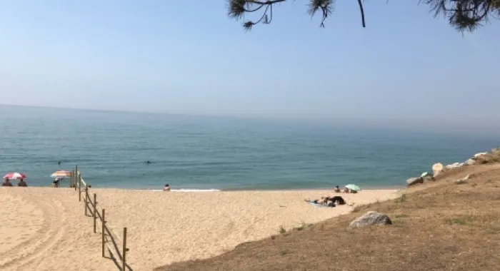 La platja es va obrir a mitjans de juny