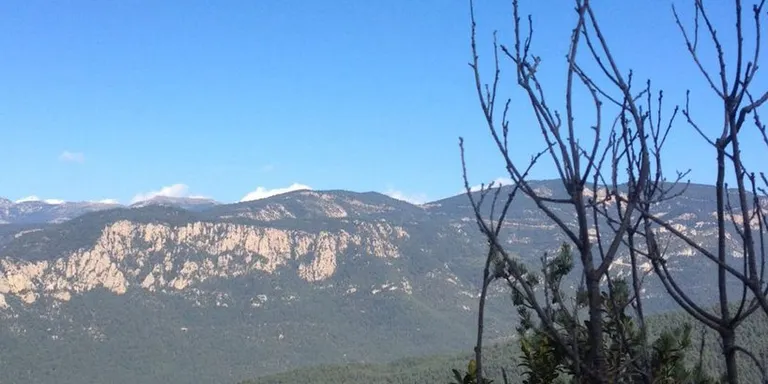 Els Bombers rescaten un home que havia caigut per un barranc a Arcavell
