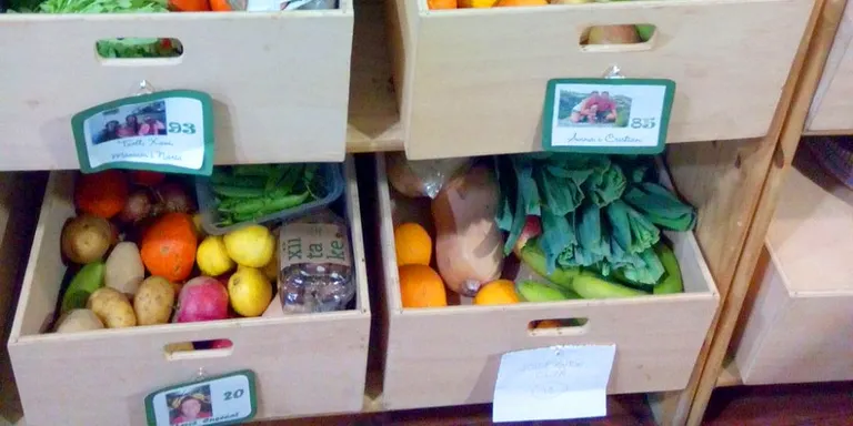 Neix TocaTerra, una nova cooperativa de consum ecològic