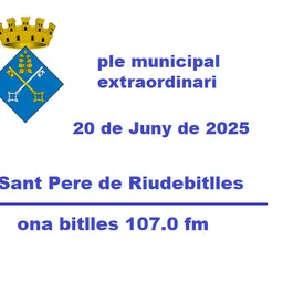Ple Municipal 20 de Juny de 2025 - episode art