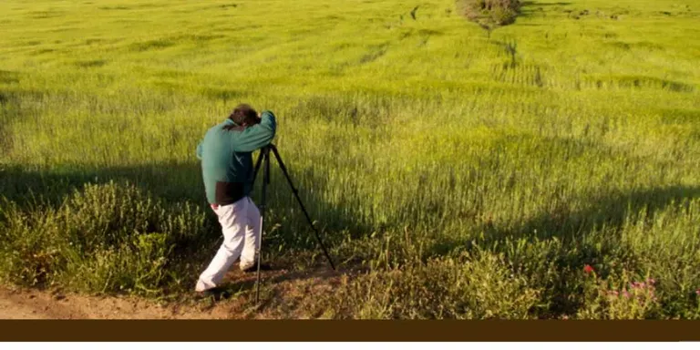 Fotowalk a la Serra de Bellmunt-Almenara