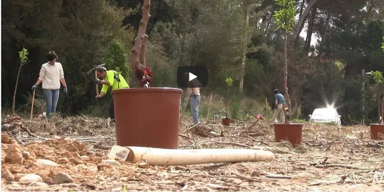 Els veïns i Rubí d'Arrel planten una trentena d'arbres a l'entorn de la Font de Can Moritz