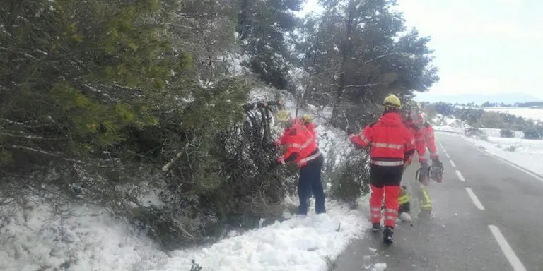 Clam contra Endesa dels municipis pirinencs afectats per talls de llum durant la nevada