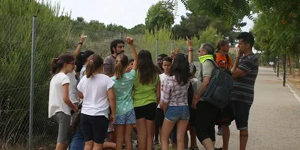 Blau i Verd posa en marxa els tallers de sensibilització contra el mosquit tigre a les escoles d’Altafulla