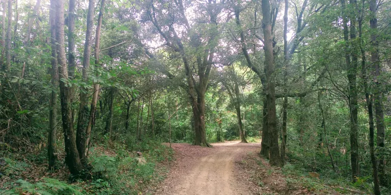 Sota els efectes d'un anticicló càlid subtropical