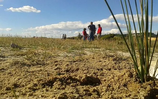 Foto: Associació Mediambiental La Sínia