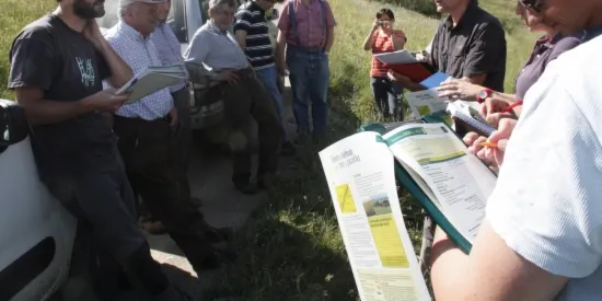 Una iniciativa pionera valora la diversitat de flora dels prats del Pirineu
