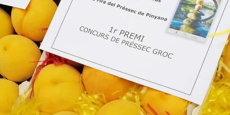 Alfarràs vol promocionar el seu producte estrella, el préssec, amb la creació d’una nova imatge corporativa