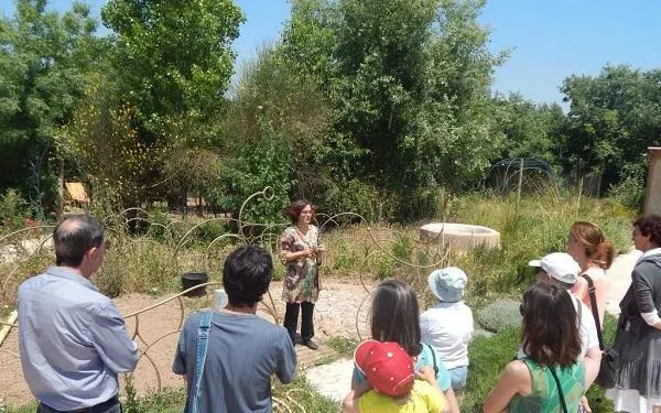 Foto: Associació Mediambiental La Sínia