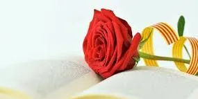 Especial Sant Jordi confinat