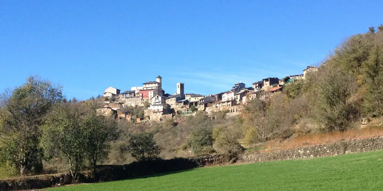 Surten a licitació tretze noves instal·lacions tèrmiques amb biomassa al Pirineu