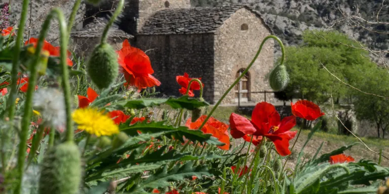 Noves jornades de portes obertes durant l'estiu a l'església romànica de Sant Serni de Cabó