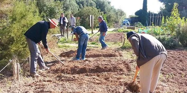 L’Ajuntament d’Altafulla i l’Hort de La Sínia posen en marxa una nova edició del curs d’horticultura ecològica tardor-hivern