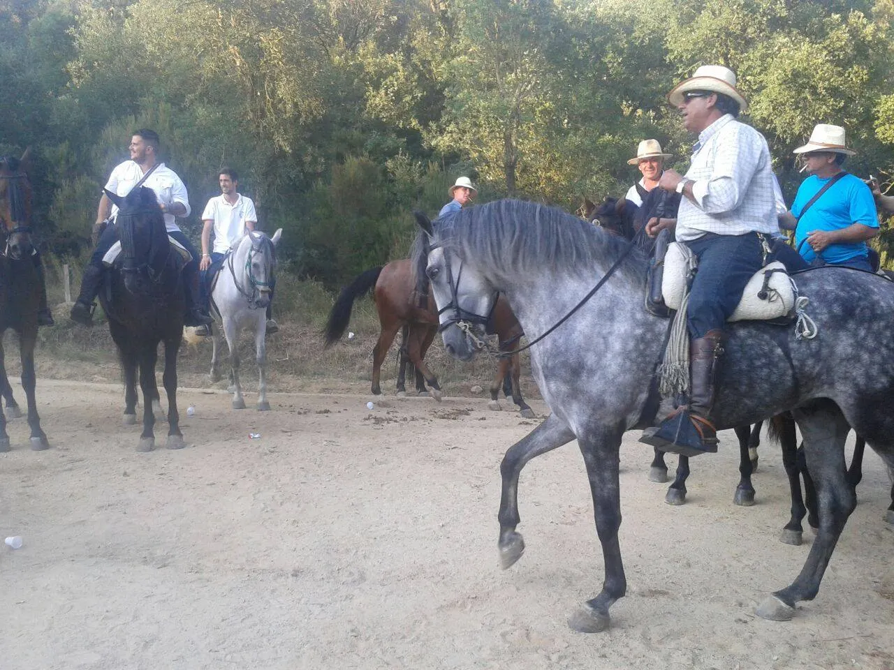Concentració a Pineda de 50 cavalls de pura raça al Dia del Cavall